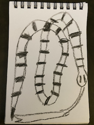 line drawing of striped snake curving around itself